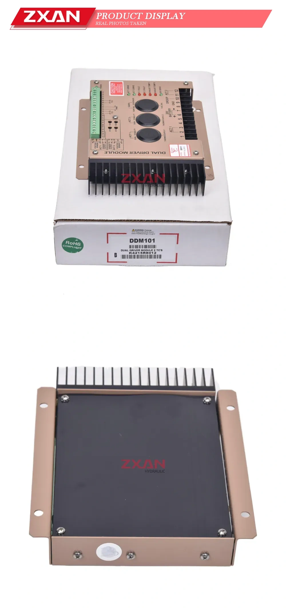 DDM101 Dual Driver Module Description