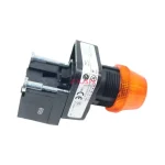 Allen-Bradley 800H-QRH2A 30mm Pilot Light