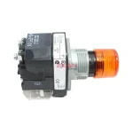 Allen-Bradley 800T-PA16A Illuminated Push Button