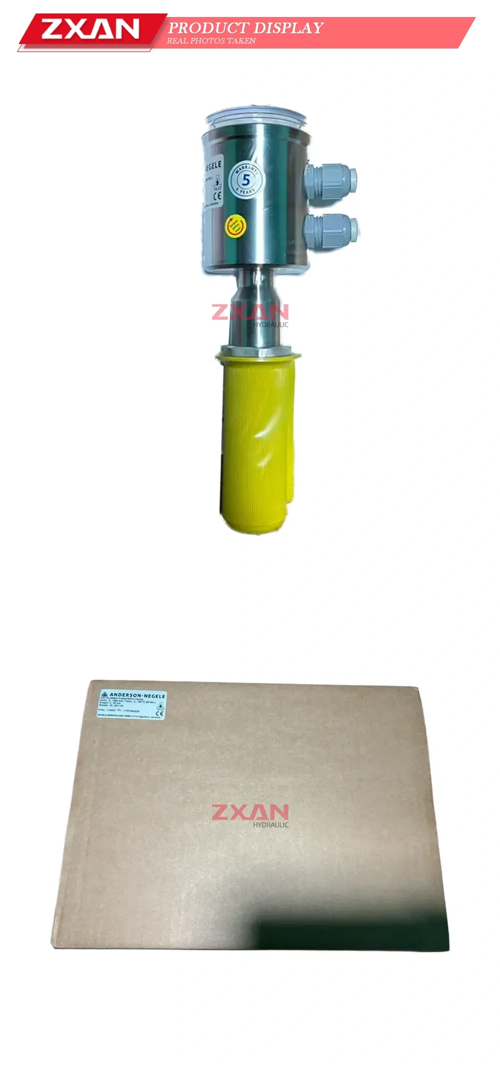 Anderson-Negele ILM-4/L50/S01//162/D/S/P/X Inductive Conductivity Meter / Level Sensor Description