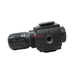 Dixon R73G-4R Pneumatic Pressure Regulator