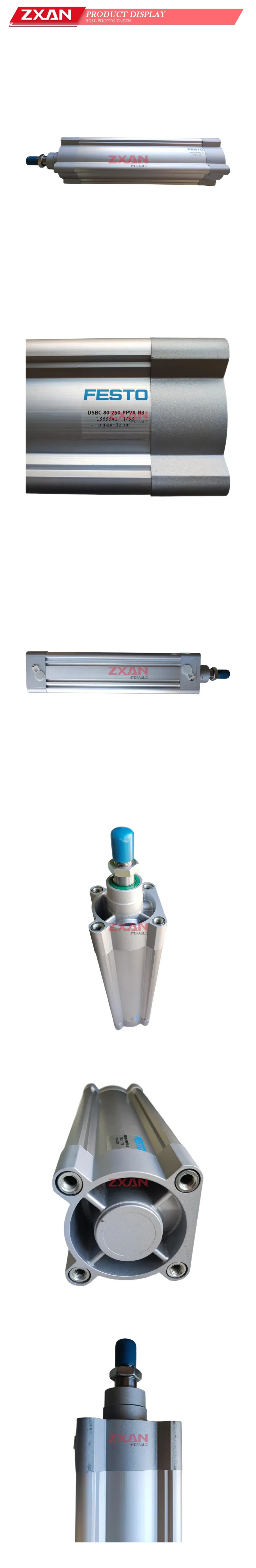 FESTO DSBC-80-250-PPVA-N3 Pneumatic Cylinder Description