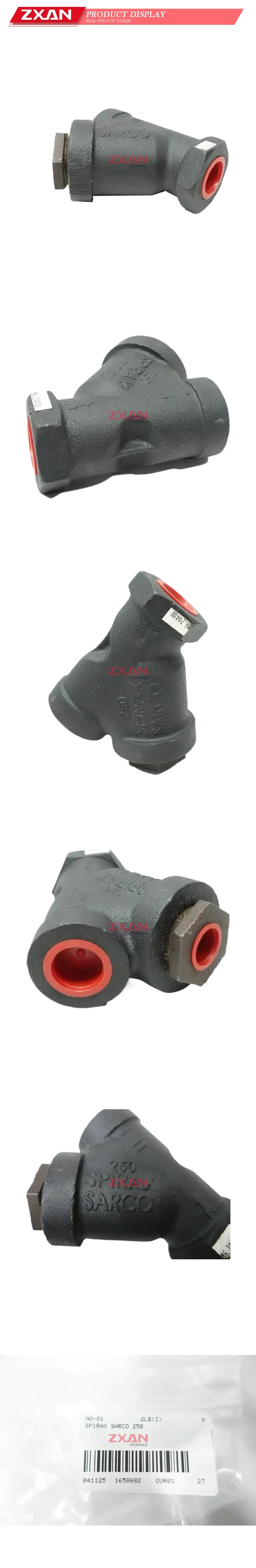 Spirax Sarco 250 Cast Iron Y-Type Strainer Description