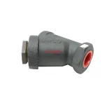 Spirax Sarco 250 Cast Iron Y-Type Strainer