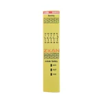 ABB BSR23 (2TLA010041R0600) Safety Relay