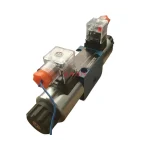 CHUANSHI 4WE6E60/EW220RNZ5L Hydraulic Solenoid Directional Control Valve