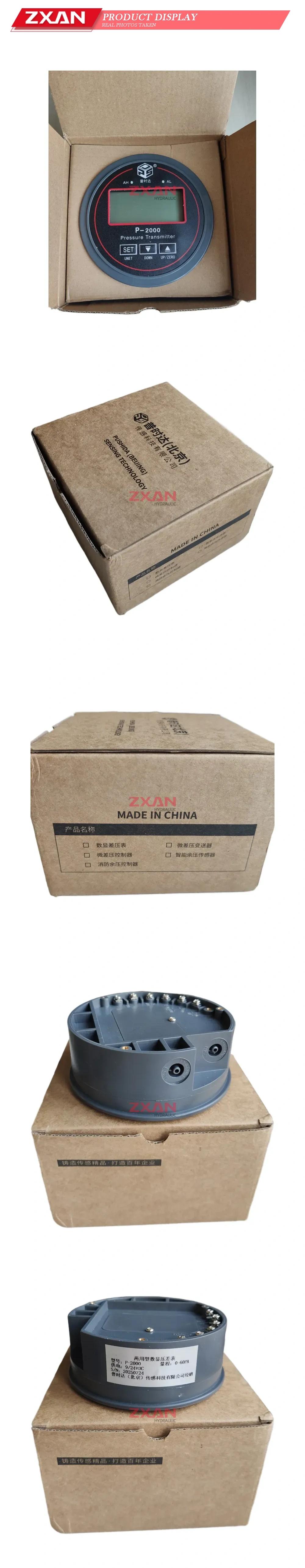 PUSHIDA P-2000 Digital Differential Pressure Gauge Description