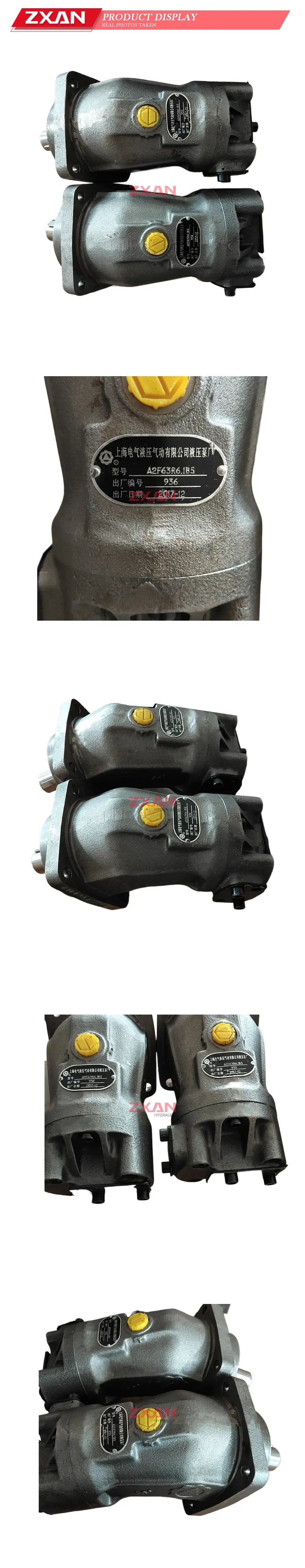 Shanghai Electric A2F63R6.1B5 Axial Piston Hydraulic Pump Description
