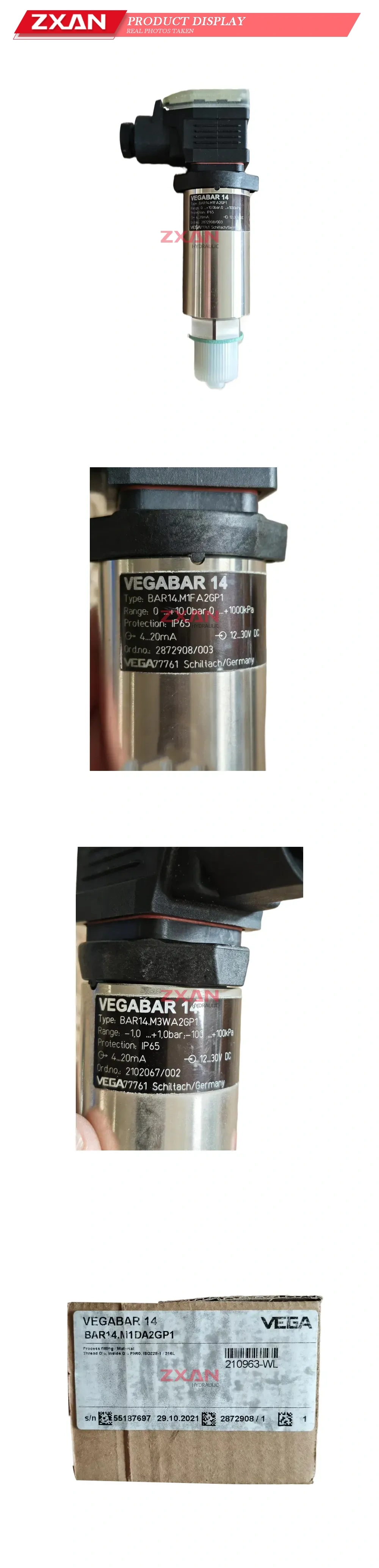 VEGA VEGABAR 14 (BAR14.M3WA2GP1 / BAR14.M1FA2GP1 / BAR14.M1DA2GP1) Pressure Transmitter Description